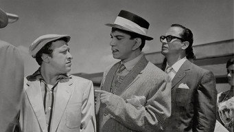 Galeria 1 - Sube y baja