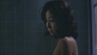 Onna Jimuin: Shikijo Seikatsu (1982)
