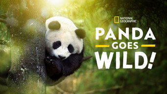 #8 Panda Goes Wild