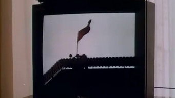 #12 Розпад