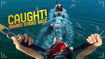 Episode 14 — Caught! Sharks Strike Back