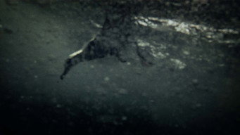 Leviathan (2012)