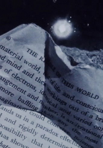 Street Film Part III