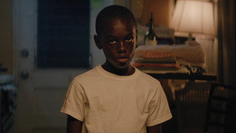 Galeria 2 - Moonlight