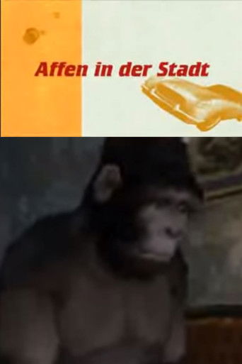 Affen in der Stadt poster