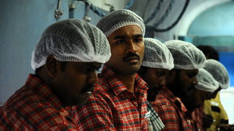 #7 Thodari