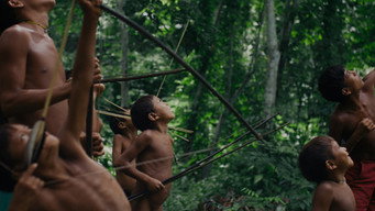 The Last Forest (2021)