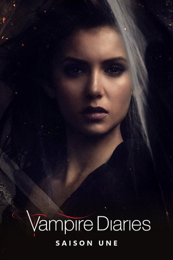 Vampire Diaries - S1 - Épisode 8 : 162 bougies - Affiche