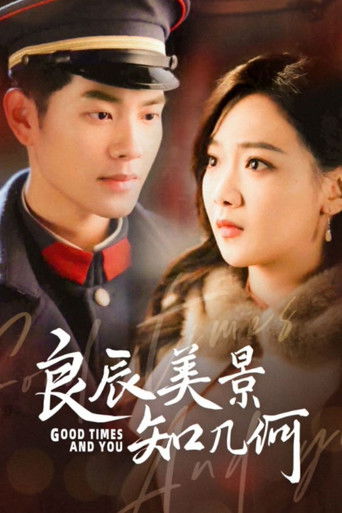 良辰美景知几何 poster