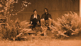 Bite (2024)