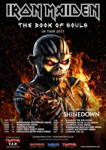 Iron Maiden: The Book of Souls - Live Chapter poster 1