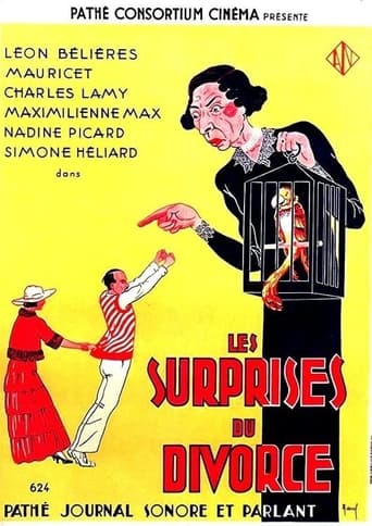 Poster of Les surprises du divorce