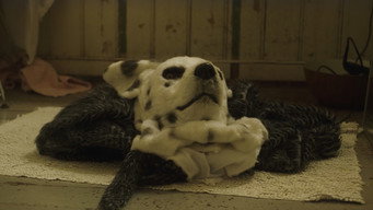 #17 Good Boy