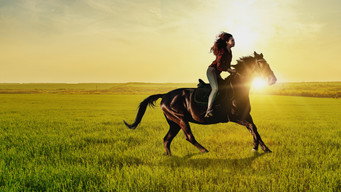 If I Could Ride (2022)