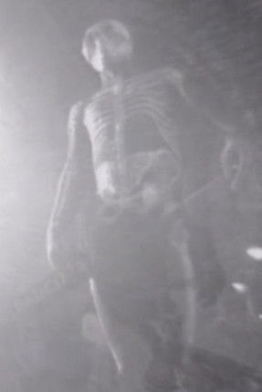 The Dance of Death poster