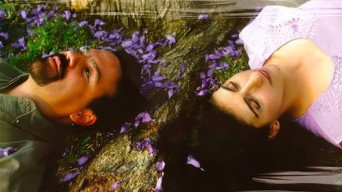To Love Too Much (2001)