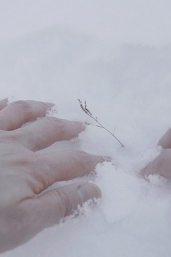 Arctic Garden poster