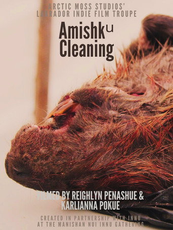 Harvesting Traditional Innu Foods: Amishkᵘ