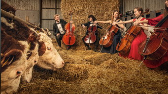 Where Music Grows (2026)