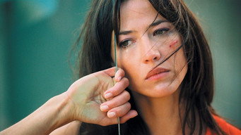 Невловимий (2005)