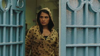 Fukrey 3 (2023)