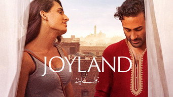 #22 Joyland