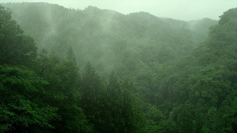 Still 7 from Little Forest: Summer/Autumn