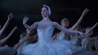 #4 Swan Lake