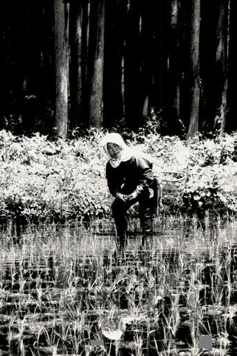 The Japanese Part 3: Farm Song