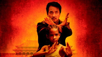 The Karate Kid backdrop 1