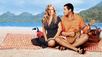 50 First Dates backdrop 1