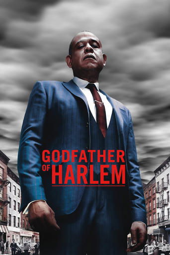 Godfather of Harlem Poster