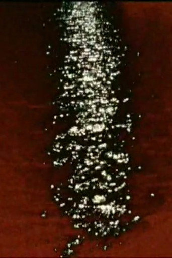 Meer (2008)