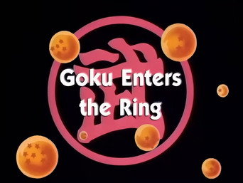 Goku Enters the Ring
