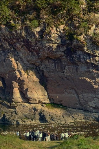 ​The Haunted Cat and the Unfolding Petroglyph​