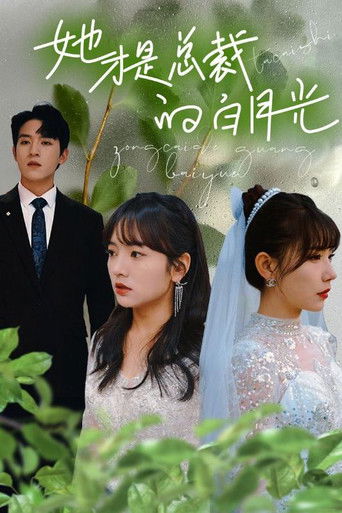 她才是总裁的白月光 poster