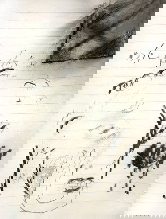 Cherish ground cracks