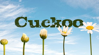 #6 Cuckoo