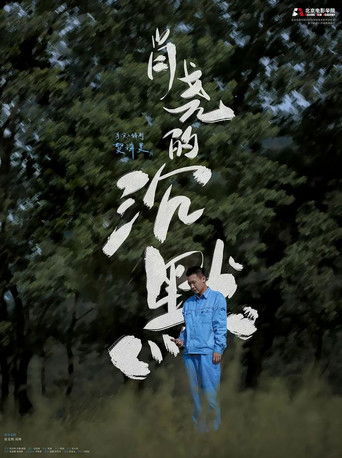 肖尧的沉默 poster