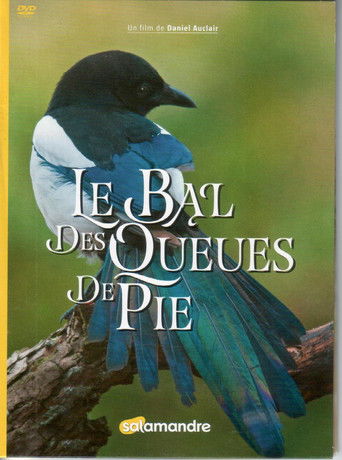 Le Bal Des Queues De Pie poster
