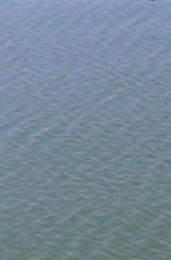 Upstream (into America) poster