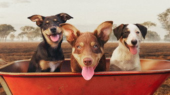 #10 Muster Dogs