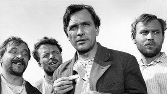 Піднята цілина (1959)