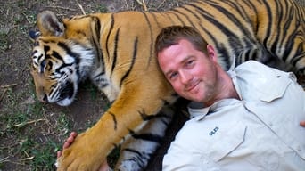 Tigers About the House (2014-2015)