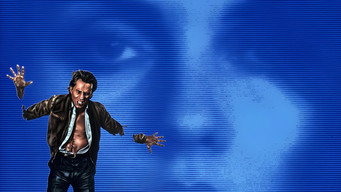 Videodrome backdrop 8