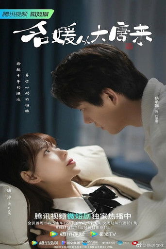 Lady From Tang Dynasty poster