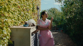 Calladita media image