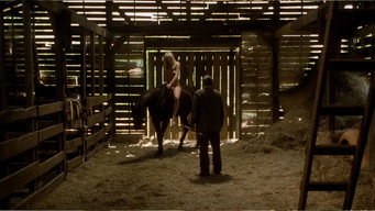 Carried Away (1996)