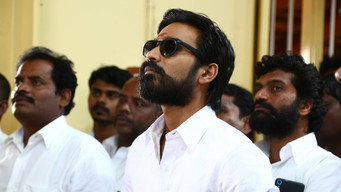 #24 Kodi