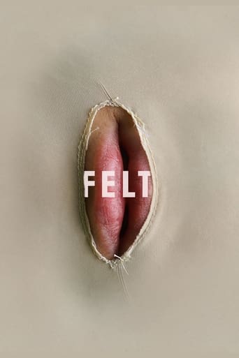 Poster of Felt